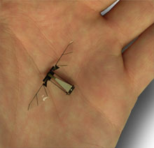 Robot insect from Harvard University