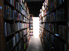 Bookstore shelves