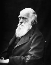 Charles Darwin portrait