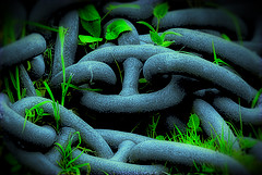 nature_chains