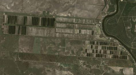 the new 1080 acre algae biofuel farm in Texas