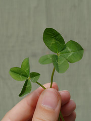 four_leaved_clover