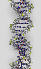 digital rendering of DNA