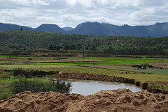 farm land in Madagascar