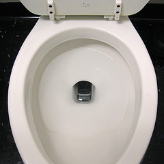 toilet bowl with mobile phone